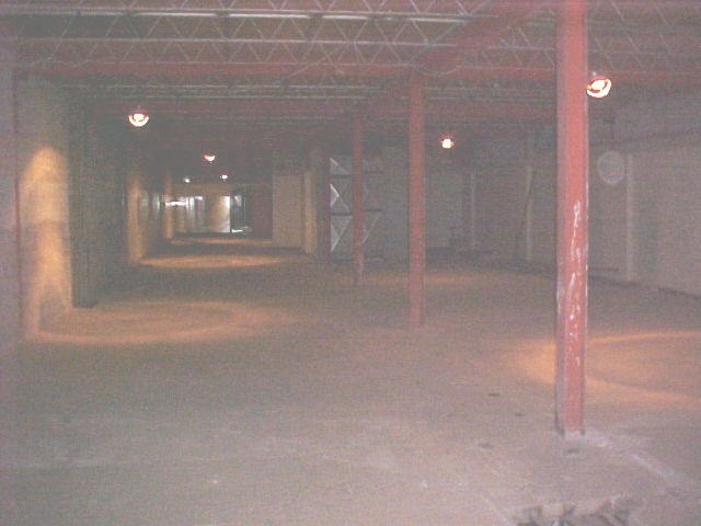 wholenew.jpg